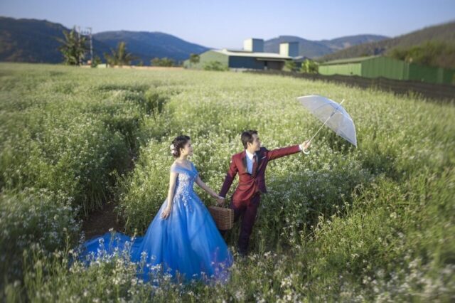 wedding, wedding photography, model, beauty, nature, image, vietnam, wedding photo, wedding photography, wedding photo, wedding photo, wedding photo, wedding photo, wedding photo
