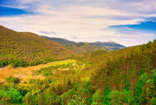 Photo by Cocodillaa.com green trees on green grass field under blue sky during daytime