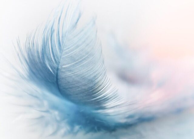 feather, ease, beautiful nature, slightly, blue, airy, close up, featherweight, nature wallpaper, flying, wind, hd wallpaper, lightweight, nature, ostrich feather, nature background, fluffy, swing, float, cool wallpaper