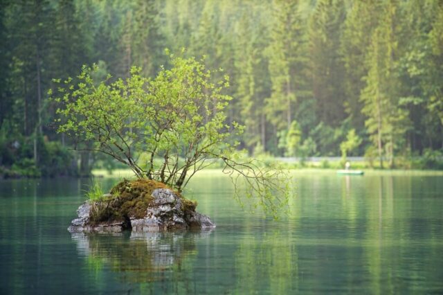 waters, nature, lake, flow, water, landscape, forest, trees, island, summer, green, coniferous forest, idyllic, lake, lake, lake, lake, lake, forest, forest, island waters, nature, lake, flow, water, landscape, forest, trees, island, summer, green, coniferous forest, idyllic, lake, lake, lake, lake, lake, forest, forest, island