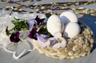 easter eggs, eggs, white, easter nest, nest, willow catkin, pansy, multicoloured, easter festival, happy easter, easter decorations, easter, regional customs, nature, easter greeting, spring, decoration