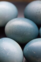 eggs, blue, spring, easter, egg, easter eggs, delicious, nature, color, decorative, natural, eco-friendly, macro, glossy, light, eastercollection, blue nature, blue spring, blue light, blue egg, blue eggs, blue color, blue natural, blue lights