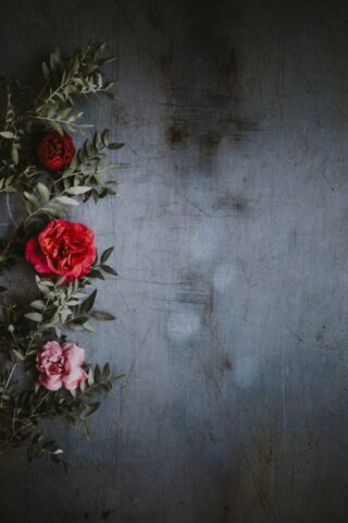 flowers, pattern, beautiful flowers, spring, nature, flower wallpaper, magnolia, rose flower, flower background, bloom, plant, design, rose