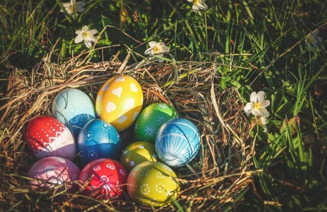 Photo by Cocodillaa.com easter, easter eggs, eggs, multicoloured, colored, coloured, colorful, spring, easter theme, nature, osterkorb, greeting card, basket, easter nest, easter festival, easter greeting, regional customs, tradition, forest, meadow, easter card, easter decoration, easter greetings