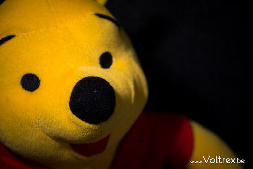 Winnie the Pooh