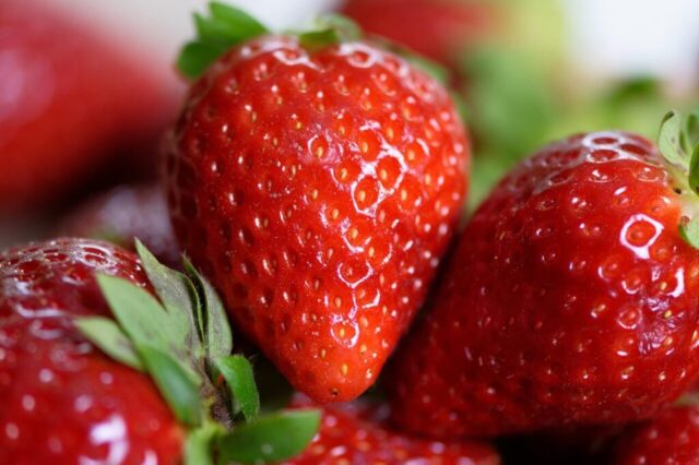 strawberries, fruits, food, fresh, healthy, ripe, organic, sweet, produce, vitamins, berries, strawberries, strawberries, strawberries, strawberries, strawberries, food