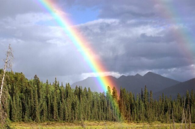 Photo by Cocodillaa.com rainbow, bow, rainbow colors, double rainbow, forest, landscape, nature, natural phenomenon, rainbow, rainbow, rainbow, rainbow, rainbow
