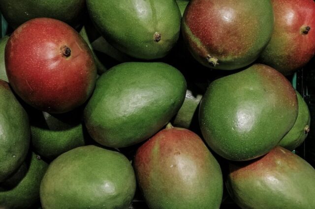 Photo by cocodillaa.com mango, fruit, healthy, cute, juicy, vitamins, yummy, food, mango, mango, mango, mango, mango