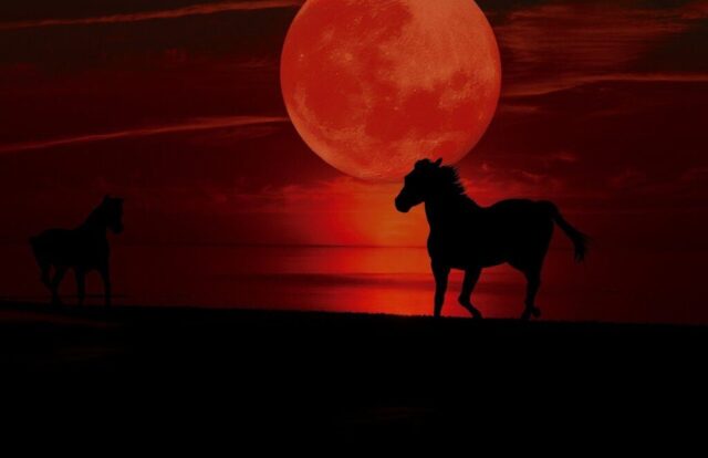 Photo by Cocodillaa.com blood moon, evening atmosphere, moon, horses, evening sky, moonlight, heaven, silhouette, full moon, blood moon, blood moon, blood moon, blood moon, blood moon