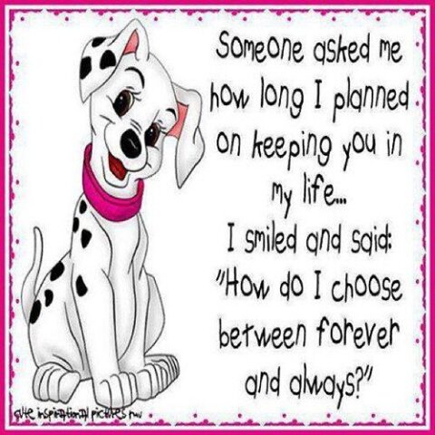 #love #quote #lovequote #cute