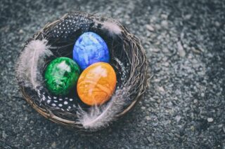 easter eggs, easter nest, easter, decoration, easter festival, spring, easter theme, cute, easter decoration, deco, easter greetings, nature, coloured, bird nest, nest, multicoloured, colored, colorful eggs