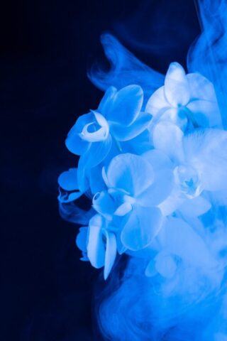 floral, abstract, flower wallpaper, flower, colorful, blue, fantasy, beautiful flowers, smoke, flower background, dream, blue flower, blue abstract, blue fantasy, nature, blue smoke, blue dream