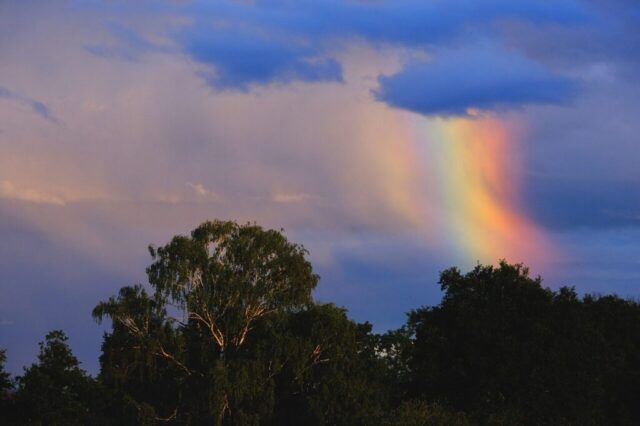 Photo by Cocodillaa.com sky, clouds, rainbow, nature, colorful, weather, phenomenon