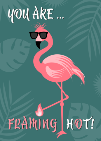 flamingo, bird, bill, nature, sunglasses, quote, pink, summer, leaves, colorful