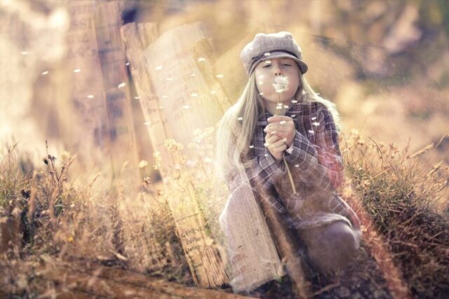 fantasy, fairy tale, girl, dream world, books, dandelion, wind, dream, dreams, dandelion, dandelion, dream, dream, dream, dream, dream, dreams, dreams