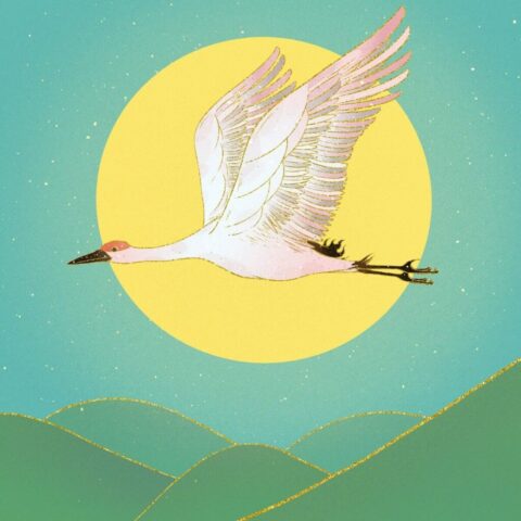 crane, flying, moon, sky, night, night sky, bird, wings, animal, wildlife, feathers, plumage, bill, beak, nature, dream, painting, creativity, drawing, art