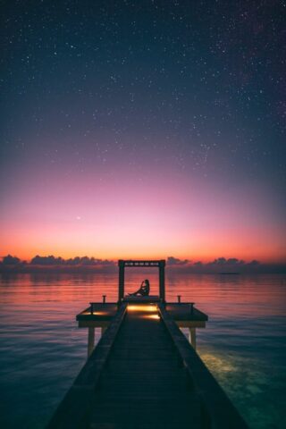 people on dock during golden hour