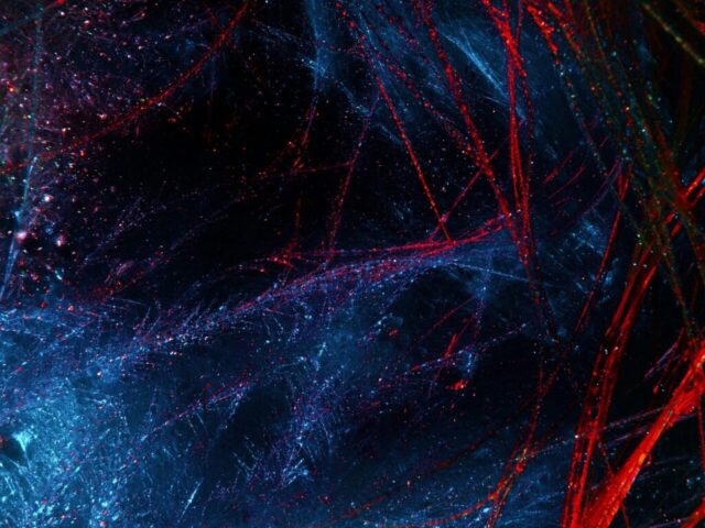 abstract, wallpaper 4k, 4k wallpaper 1920x1080, desktop backgrounds, painting, cool backgrounds, feathers, beautiful, energy, artistic, colorful, wallpaper hd, creative, dark, mac wallpaper, decorative, 4k wallpaper, pattern, paint, style, artwork, laptop wallpaper, digital art, wallpaper, background, windows wallpaper, decoration, full hd wallpaper, light, free wallpaper, black, free background, line, fractal, hd wallpaper, effect, beautiful wallpaper, color