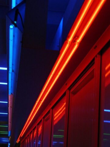 neon light, neon lights, neon, lamps, light, lighting, neon red, neon blue, red, blue, neon lamps, neon lights, neon, neon, neon, neon, neon