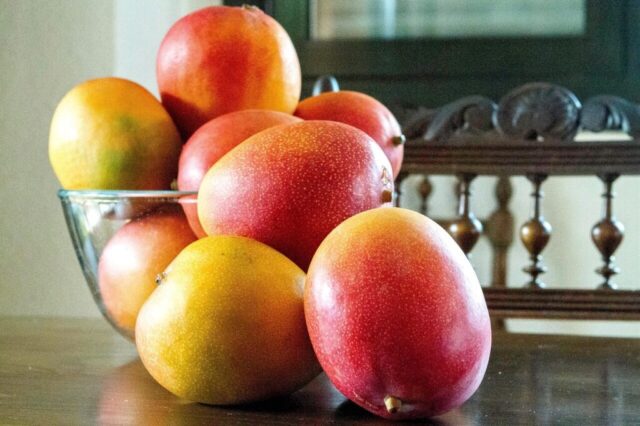 Photo by cocodillaa.com mangoes, fruits, food, fresh, healthy, ripe, organic, sweet, produce, harvest, mangoes, mangoes, mangoes, mangoes, mangoes