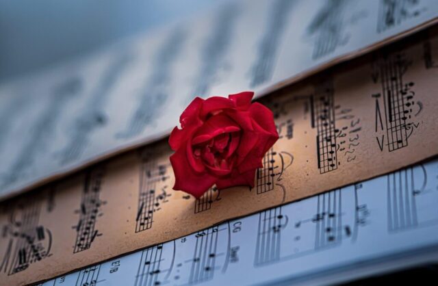 sheet music, red rose, classical music, red flower, song, melody, musical notes, pianoforte, harmony, nostalgia, music wallpaper, romantic, memories, colourful, love, romance, vintage, music tracks, simple, just music, piano music, on the spot, sounds of quiet, free line, cd cover, sheet music, sheet music, sheet music, sheet music, song, song, song, melody, melody, melody, musical notes, pianoforte, harmony, harmony, music wallpaper, music wallpaper, music wallpaper, music wallpaper, vintage, simple, simple, simple, simple, simple, just music
