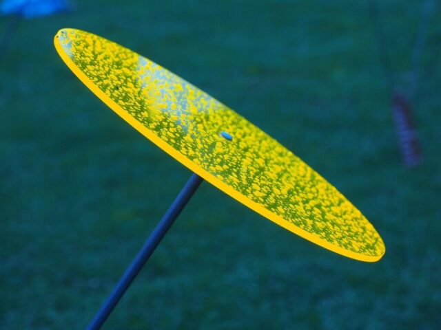 sun catcher, disc, round, waterdrop, shining, neon, light catcher, garden decoration, neon colors, plexiglass, neon green, neon yellow