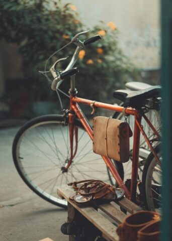 vintage photograph, bicycle, backyard, retro photograph, bicycle, bicycle, bicycle, bicycle, bicycle