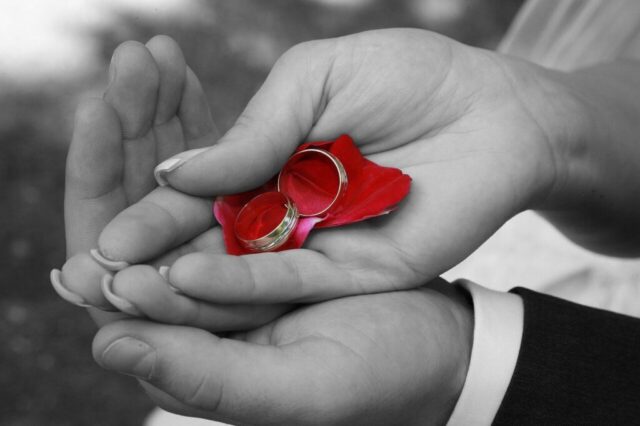 wedding, wedding rings, hands, wedding, wedding rings, wedding rings, wedding rings, wedding rings, wedding rings