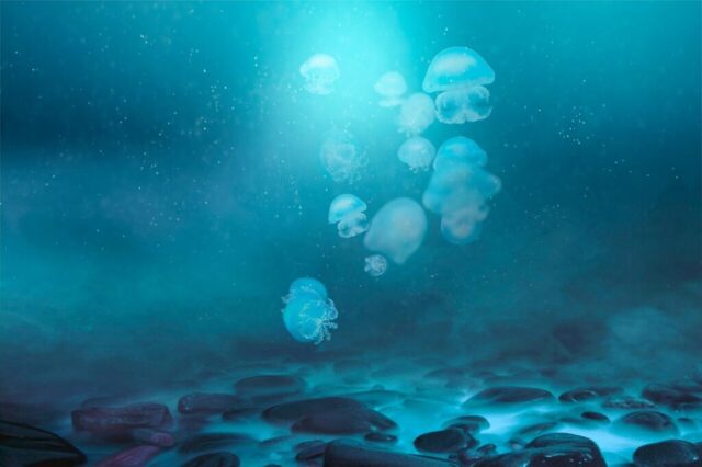 fantasy, jellyfish, magic, surreal, dream, jellyfish, jellyfish, jellyfish, jellyfish, jellyfish