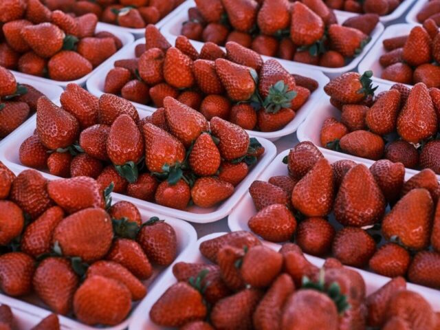 strawberries, fruits, fresh strawberries, organic strawberries