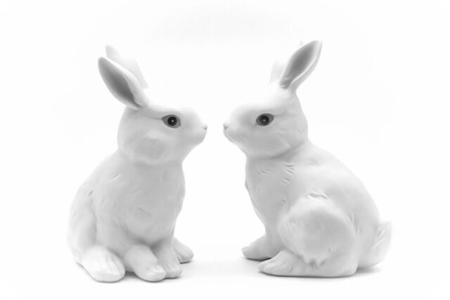 Photo by Cocodillaa.com easter, rabbit, easter bunny, decoration, easter festival, nature, spring, easter theme