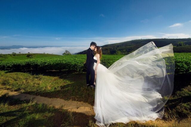 wedding, wedding photoshoot, fields, outdoors, nature, bride, groom, asia, vietnam, wedding dress, asian bride, wedding photography, wedding photography, wedding photography, wedding photography, wedding photography, wedding photography
