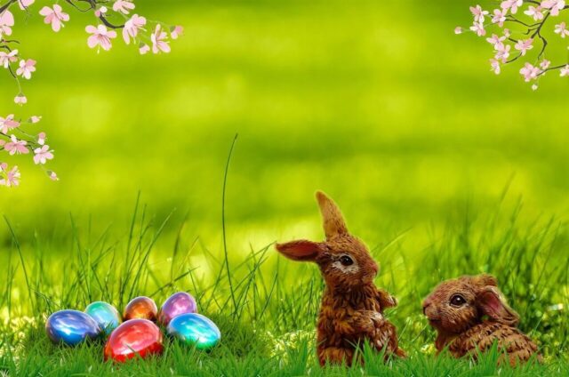 Photo by Cocodillaa.com easter, spring, easter bunny, easter eggs, easter nest, nature, grass, lawn, easter card, regards, greeting card, happy easter, orthodox, copy space, easter, easter, easter, easter, easter, easter bunny, easter bunny, easter bunny, happy easter, happy easter, happy easter