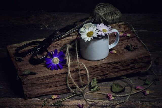 crafting, daisies, vintage aesthetic, rustic aesthetic, still life, crafting, crafting, crafting, crafting, crafting, vintage aesthetic, vintage aesthetic, still life