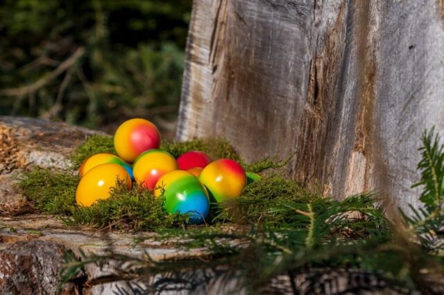 Photo by Cocodillaa.com eggs, multi coloured, easter eggs, easter, easter festival, multicoloured, easter time, food, meal, easter custom, easter eggs, easter eggs, easter eggs, easter, easter, easter, easter, easter