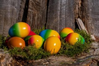 easter eggs, coloured, eggs, multi coloured, easter, forest, multicoloured, easter festival, nature, easter time, food, meal
