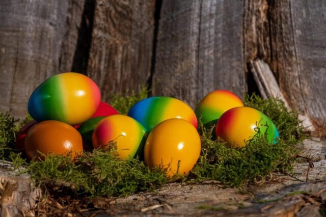 Photo by Cocodillaa.com easter eggs, coloured, eggs, multi coloured, easter, forest, multicoloured, easter festival, nature, easter time, food, meal