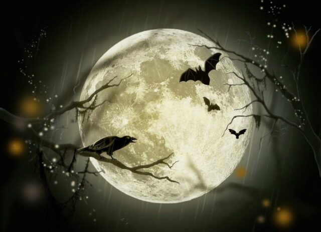 Photo by Cocodillaa.com halloween, holidays, mystery, fairy tale, moon, crow, drawing, design, postcard, happyhalloween, halloween, halloween, halloween, halloween, halloween, moon, moon