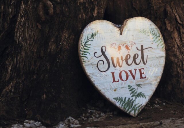 Rustic heart-shaped sign with 'Sweet Love' text and fern details on tree bark.