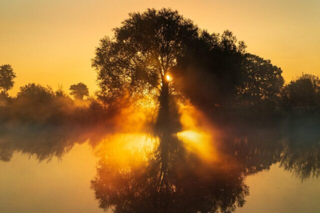 sunrise, sun, nature, flow, weser, trees, fog, fall, landscape, mood, backlighting, sunrise, sunrise, sunrise, sunrise, sunrise, sun, nature, nature