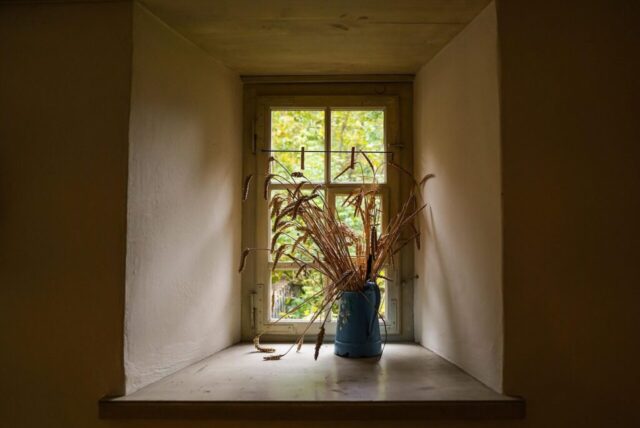 window, fall, grain, vase minimal, decoration
