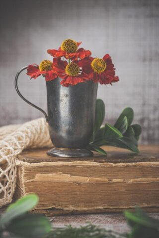 flowers, red flowers, nature, vintage, beautiful flowers, flower background, book, flower wallpaper, aesthetic