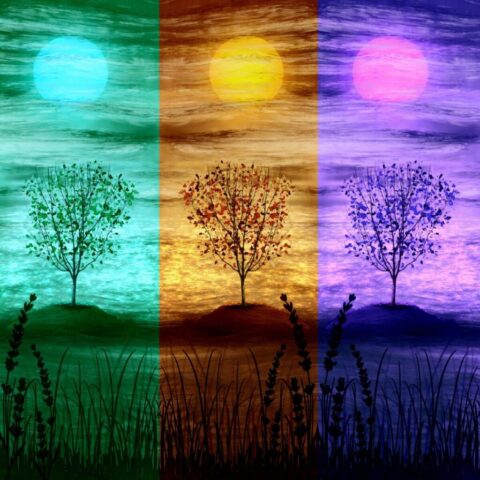 colorful, landscape, nature, trees, composition, minimal, art, pattern, design
