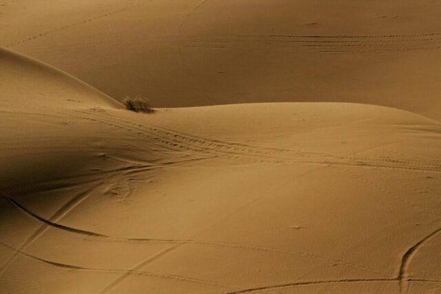 grass, shadow, desert, sand, nature, landscape, minimal, iran, kashan