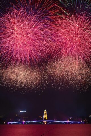 color, firework, night, city, colorful, neon