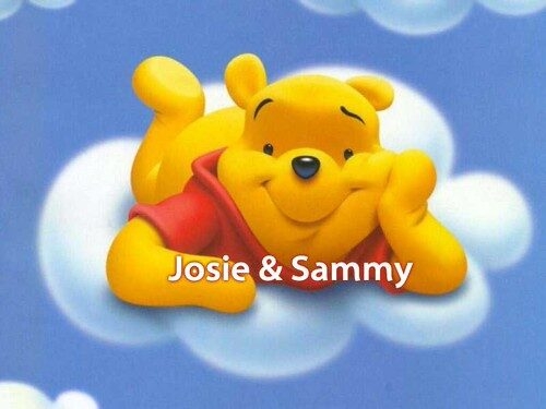 Winnie the Pooh & Us