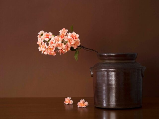flowers, blossoms, bloom, flora, nature, still life, vintage, pot, flower wallpaper, vase, reflections, flower background, beautiful flowers, brown