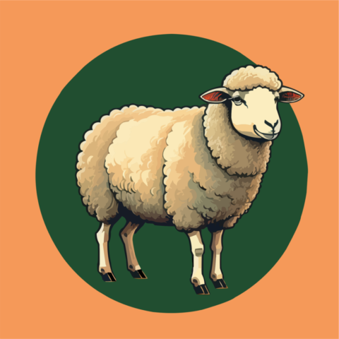 sheep, mammal, cartoon, wool, animal, caricature, card, model, portrait, eid, nature, mubarak, adaha