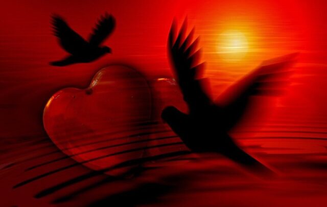heart, dove, silhouette, love, happiness, abstract, relationship, valentine's day, romance, romantic, loyalty, tender, tenderness, affection, red, heart, heart, heart, heart, heart, dove, dove, dove, dove, love, love, love, relationship, valentine's day, valentine's day, loyalty