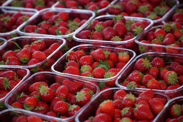 strawberries, market, food, agriculture, fruits, agriculture, agriculture, agriculture, agriculture, agriculture, fruits
